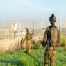 תיעוד מפעילות צה"ל ביהודה ושומרון, ארכיון צילום: דובר צה"ל חדשות